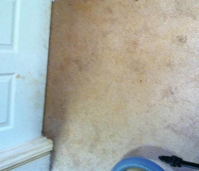 Dirty carpet in front of white door