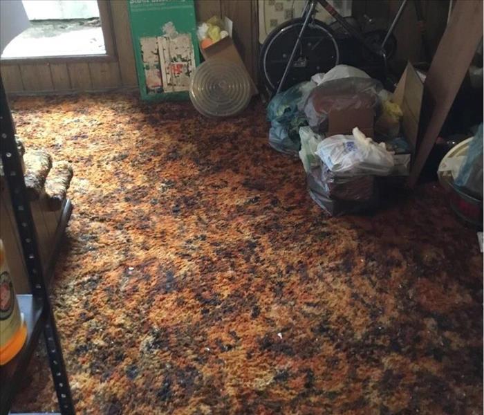 Orangish multicolored carpet in a cluttered basement