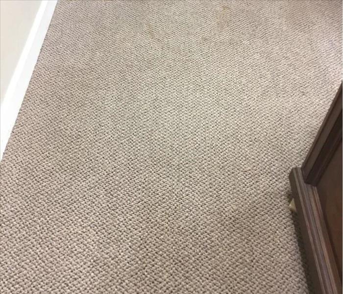 Close-up of grayish carpet in front of office furniture