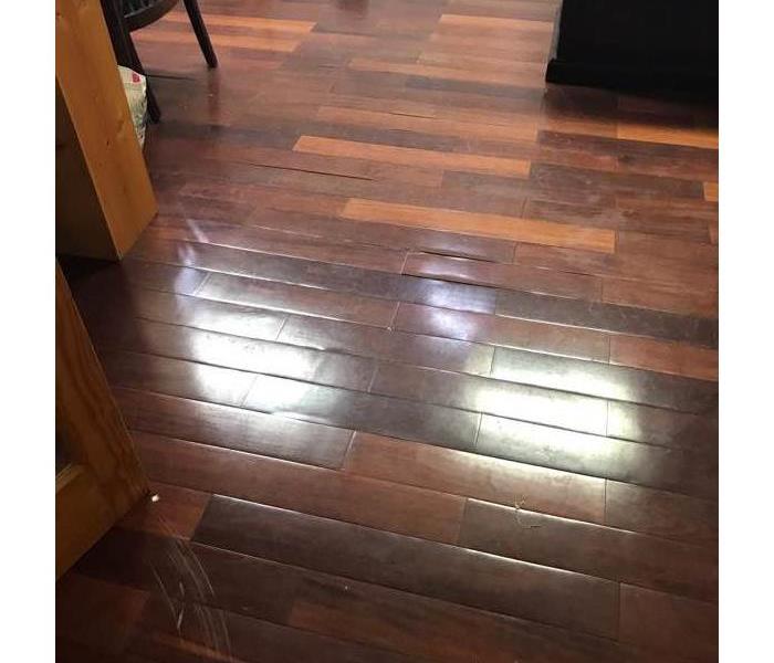 Hardwood floors with two overhead lights reflecting off the surface