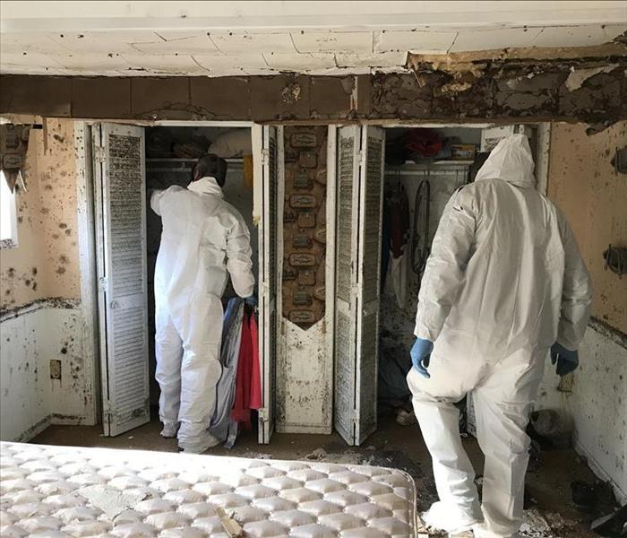 Two people in white PPE in a mold-infested room